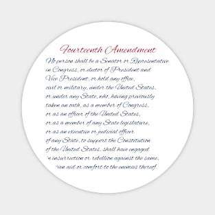 14th Amendment Magnet